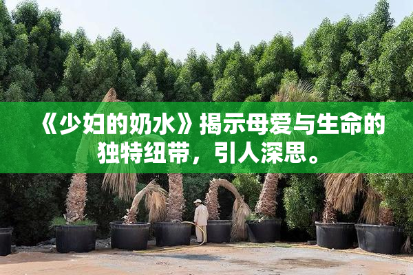 《少妇的奶水》揭示母爱与生命的独特纽带，引人深思。