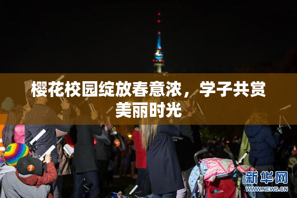 樱花校园绽放春意浓，学子共赏美丽时光