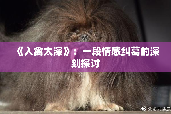 《入禽太深》：一段情感纠葛的深刻探讨