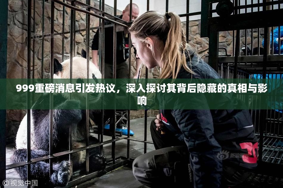 999重磅消息引发热议，深入探讨其背后隐藏的真相与影响