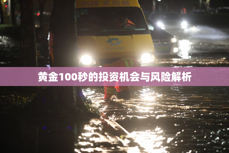 黄金100秒的投资机会与风险解析