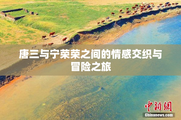 唐三与宁荣荣之间的情感交织与冒险之旅
