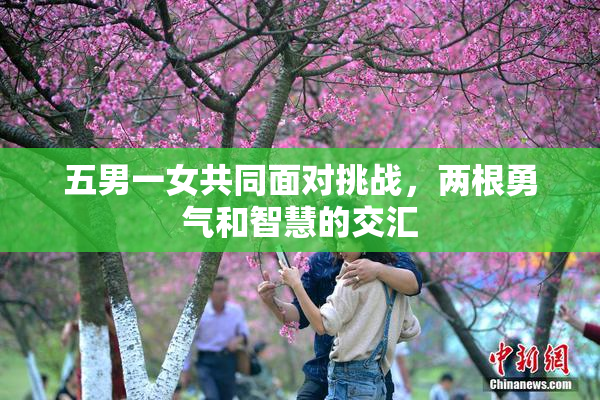 五男一女共同面对挑战，两根勇气和智慧的交汇
