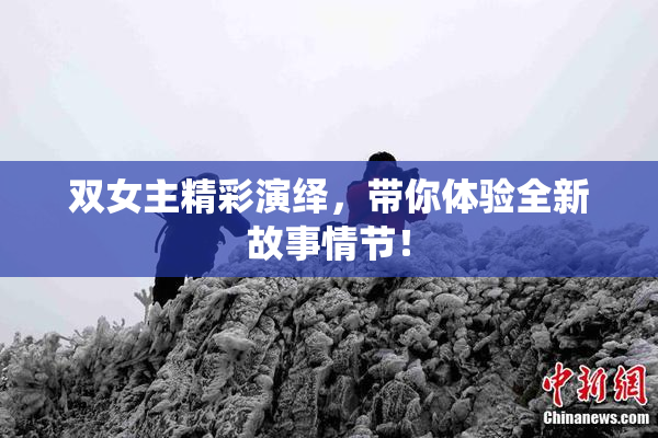 双女主精彩演绎，带你体验全新故事情节！