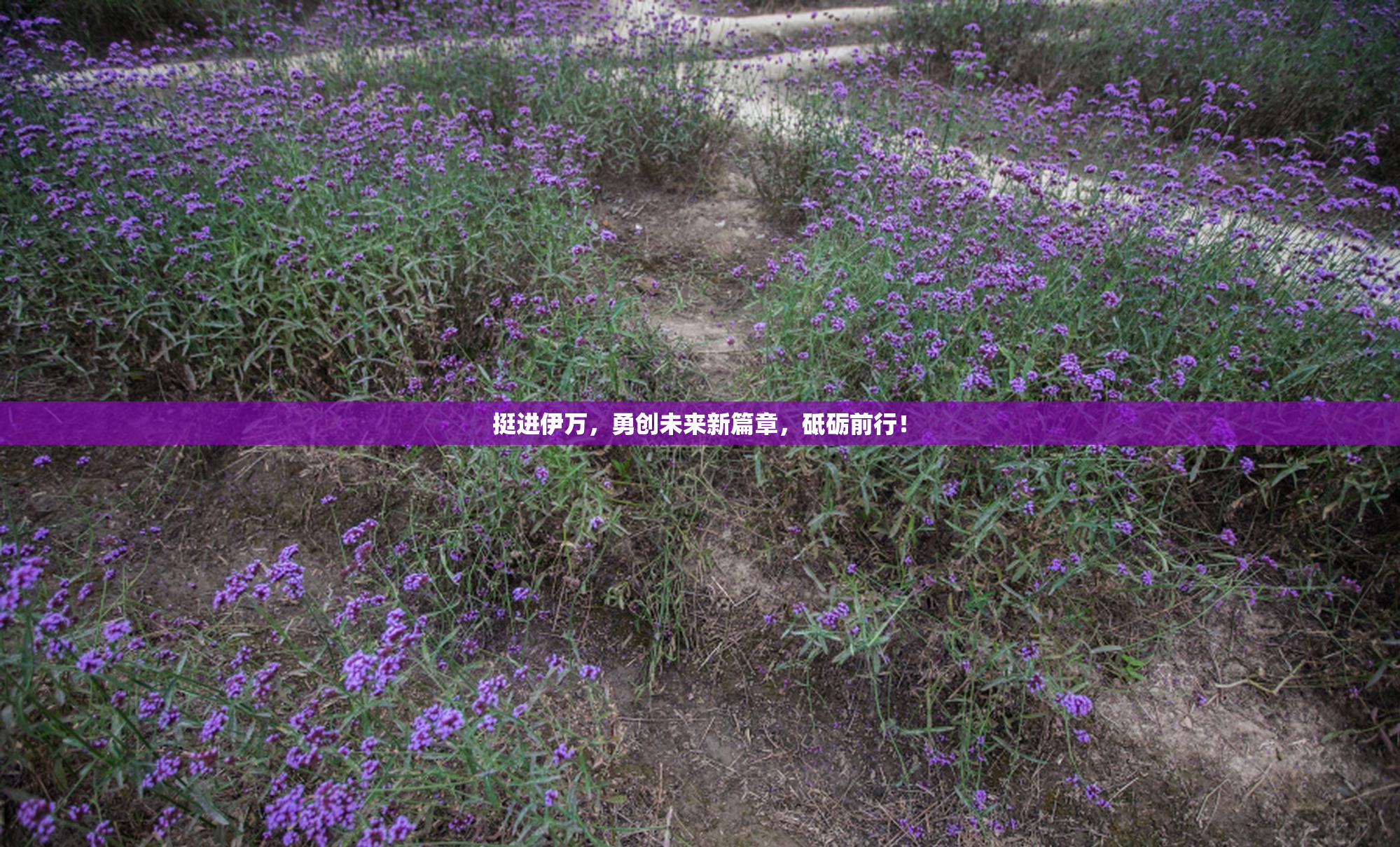 挺进伊万，勇创未来新篇章，砥砺前行！