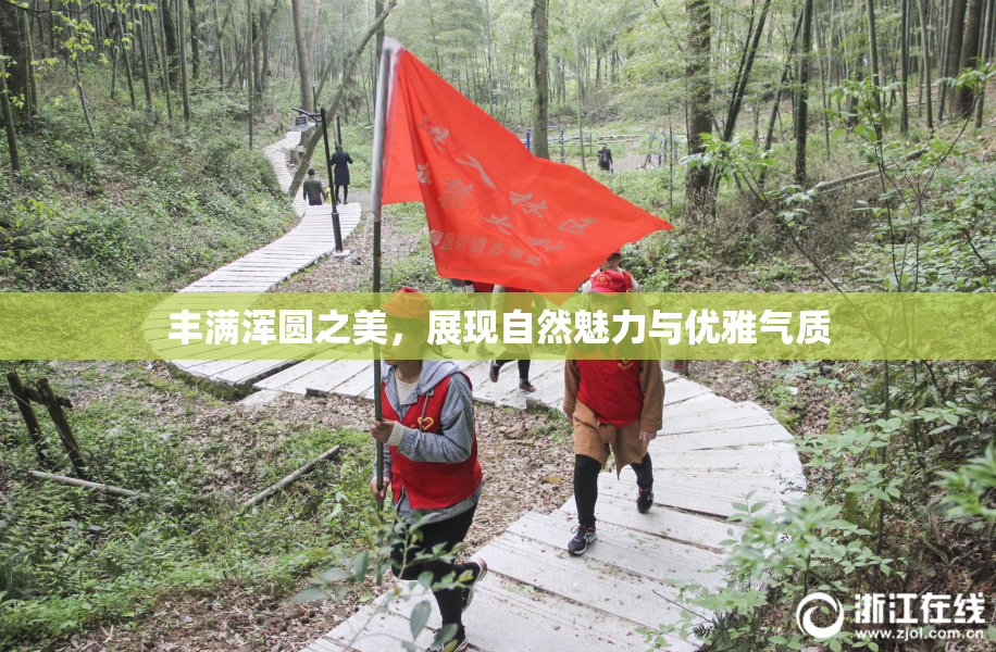 丰满浑圆之美，展现自然魅力与优雅气质