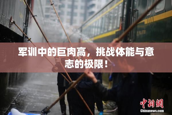 军训中的巨肉高，挑战体能与意志的极限！