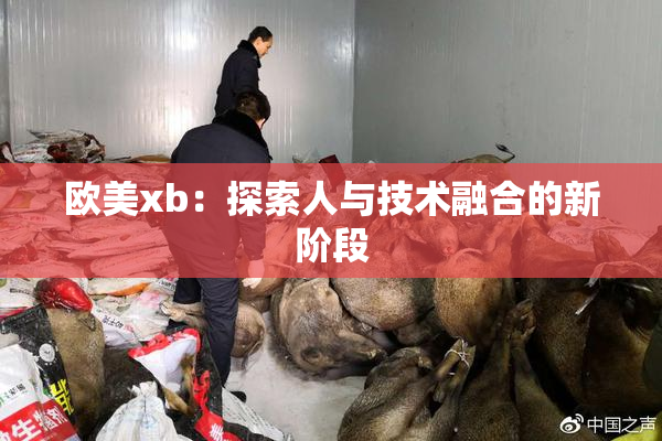 欧美xb：探索人与技术融合的新阶段