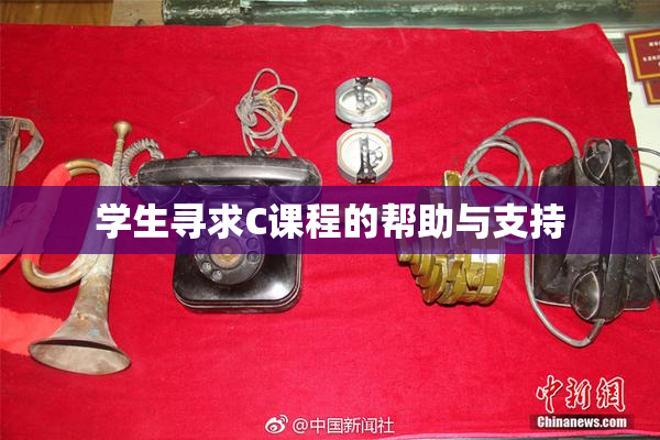 学生寻求C课程的帮助与支持