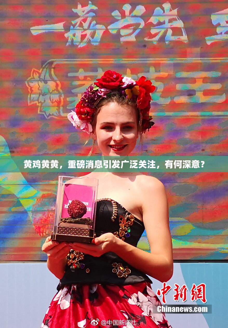 黄鸡黄黄，重磅消息引发广泛关注，有何深意？