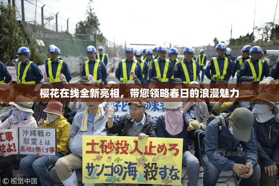樱花在线全新亮相，带您领略春日的浪漫魅力