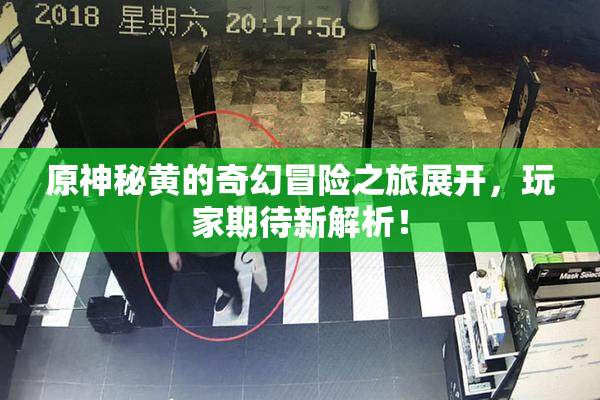 原神秘黄的奇幻冒险之旅展开，玩家期待新解析！