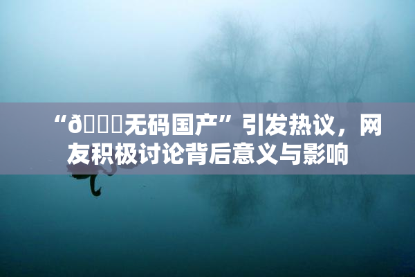 “🔞无码国产”引发热议，网友积极讨论背后意义与影响
