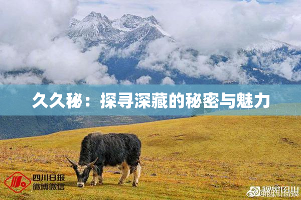 久久秘：探寻深藏的秘密与魅力