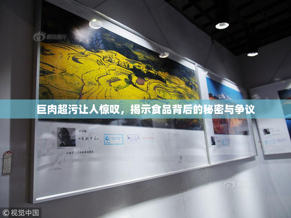 巨肉超污让人惊叹，揭示食品背后的秘密与争议