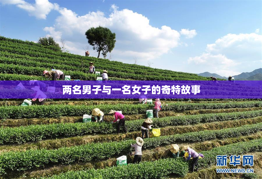 两名男子与一名女子的奇特故事
