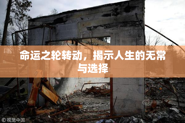 命运之轮转动，揭示人生的无常与选择