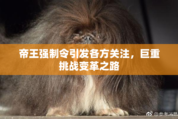 帝王强制令引发各方关注，巨重挑战变革之路