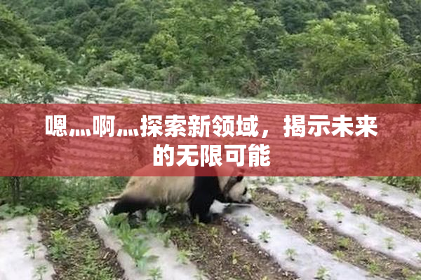嗯灬啊灬探索新领域，揭示未来的无限可能