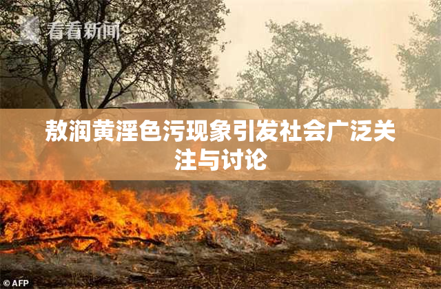敖润黄淫色污现象引发社会广泛关注与讨论
