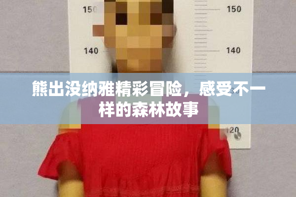 熊出没纳雅精彩冒险，感受不一样的森林故事