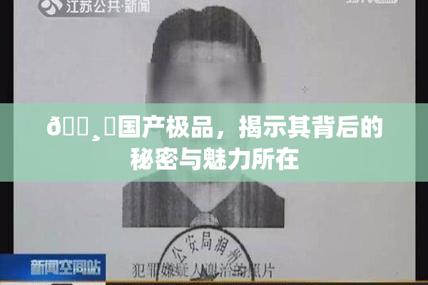 🌸‌国产极品，揭示其背后的秘密与魅力所在
