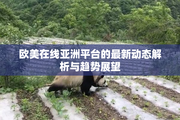 欧美在线亚洲平台的最新动态解析与趋势展望