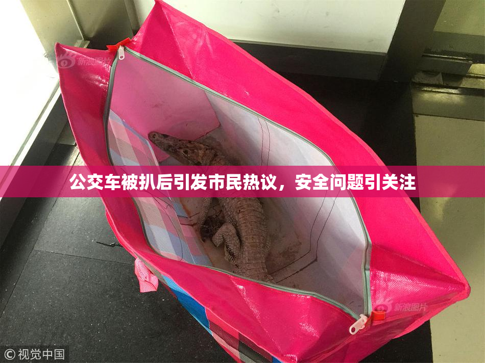 公交车被扒后引发市民热议，安全问题引关注