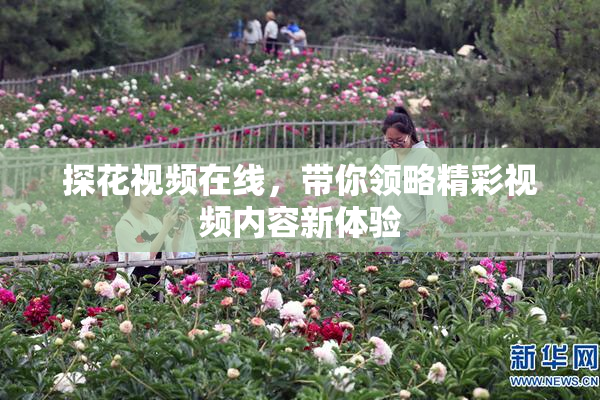 探花视频在线，带你领略精彩视频内容新体验
