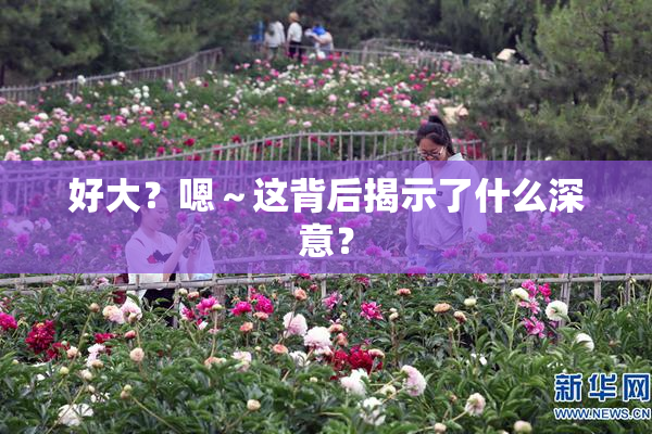 好大？嗯～这背后揭示了什么深意？