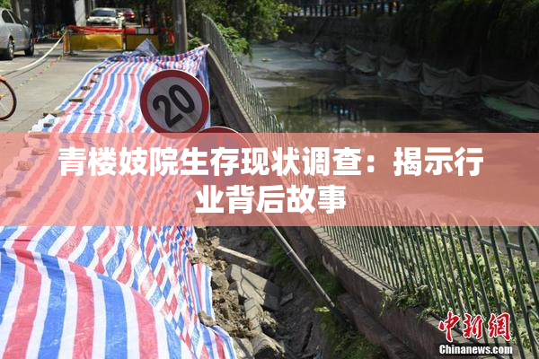 青楼妓院生存现状调查：揭示行业背后故事