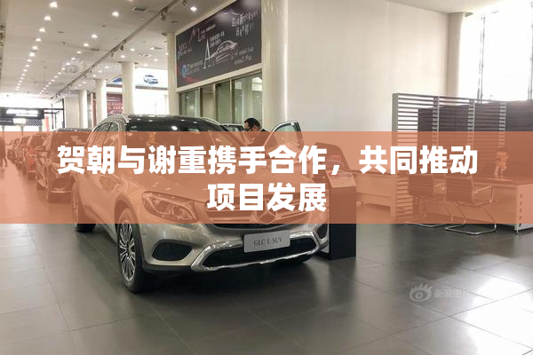 贺朝与谢重携手合作，共同推动项目发展