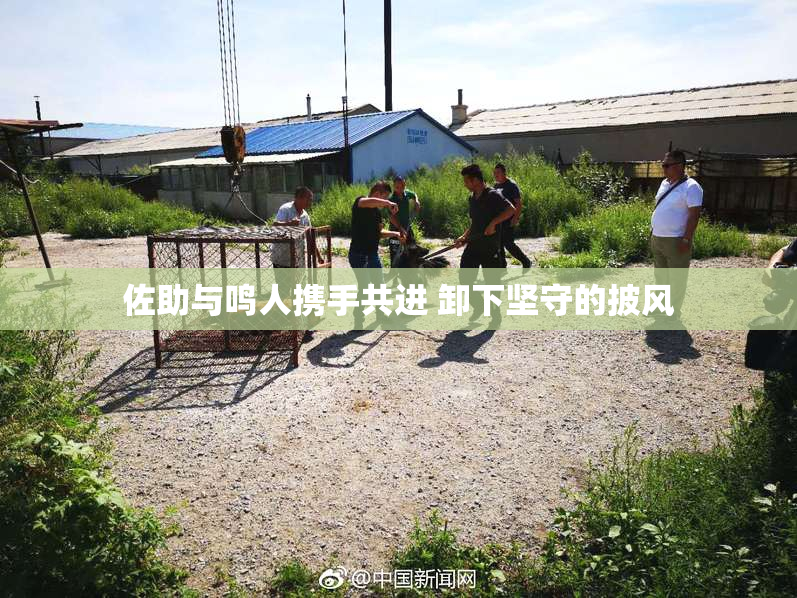 佐助与鸣人携手共进 卸下坚守的披风