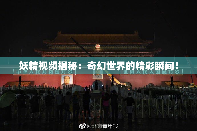 妖精视频揭秘：奇幻世界的精彩瞬间！