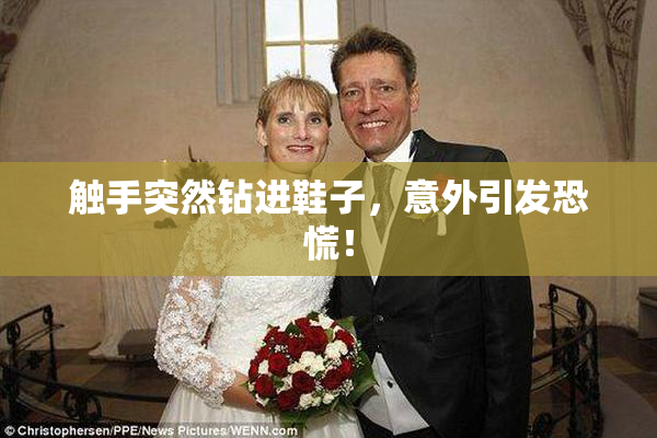 触手突然钻进鞋子，意外引发恐慌！