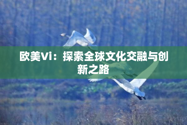 欧美Vi：探索全球文化交融与创新之路