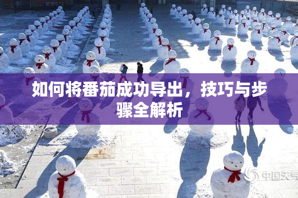 如何将番茄成功导出，技巧与步骤全解析