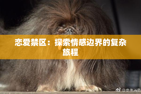 恋爱禁区：探索情感边界的复杂旅程