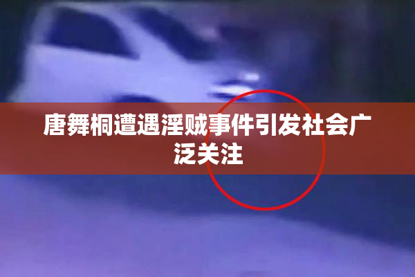 唐舞桐遭遇淫贼事件引发社会广泛关注