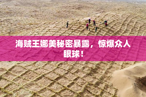 海贼王娜美秘密暴露，惊爆众人眼球！