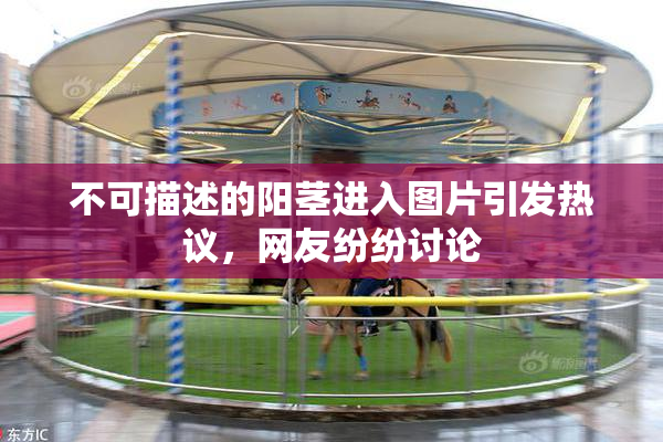 不可描述的阳茎进入图片引发热议，网友纷纷讨论