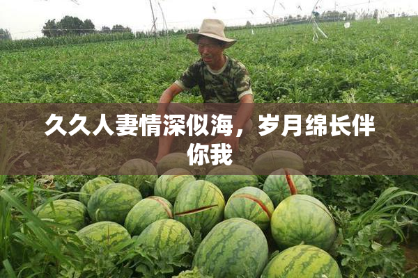 久久人妻情深似海，岁月绵长伴你我