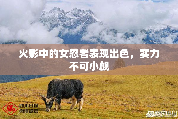 火影中的女忍者表现出色，实力不可小觑