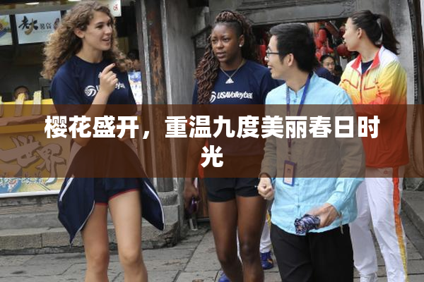 樱花盛开，重温九度美丽春日时光
