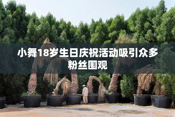 小舞18岁生日庆祝活动吸引众多粉丝围观