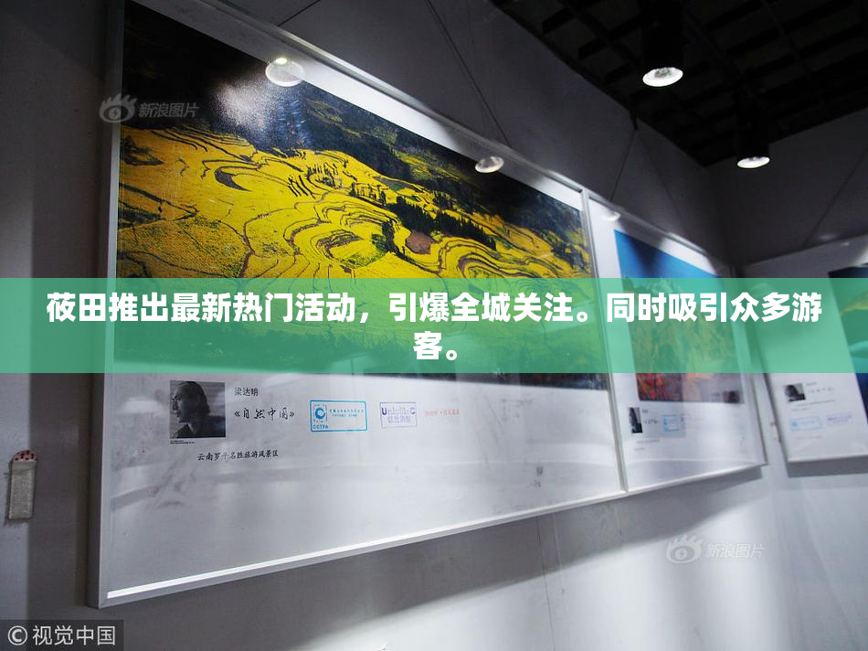 莜田推出最新热门活动，引爆全城关注。同时吸引众多游客。