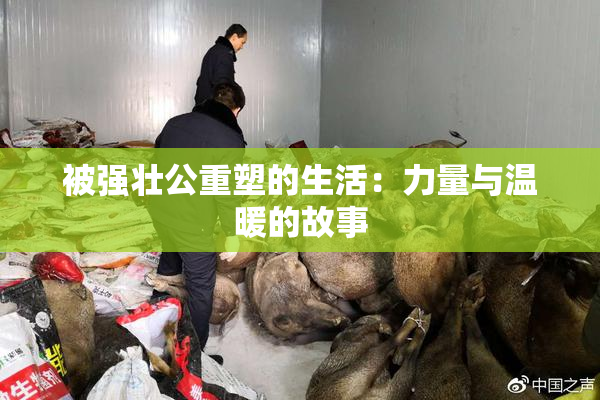 被强壮公重塑的生活：力量与温暖的故事
