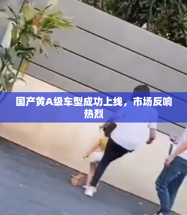 国产黄A级车型成功上线，市场反响热烈