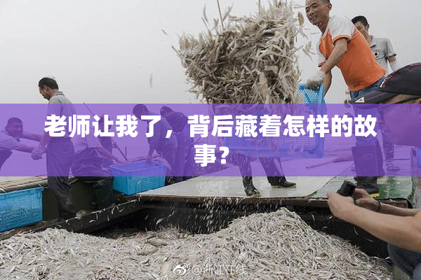 老师让我了，背后藏着怎样的故事？
