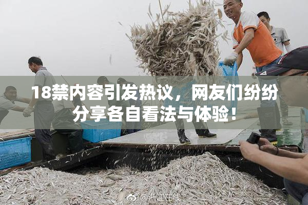 18禁内容引发热议，网友们纷纷分享各自看法与体验！